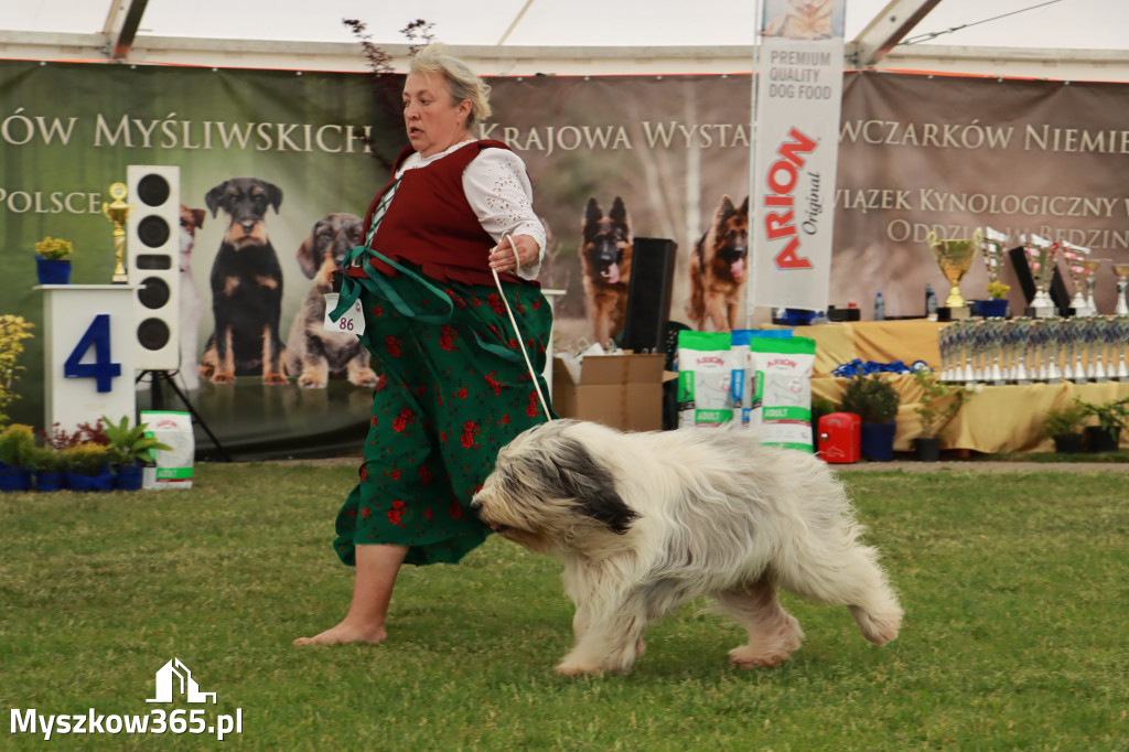 Fotorelacja - Wystawa Psów Rasowych GNIAZDÓW 2024r. SOBOTA I