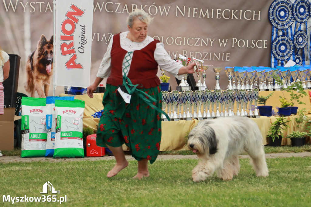 Fotorelacja - Wystawa Psów Rasowych GNIAZDÓW 2024r. SOBOTA I