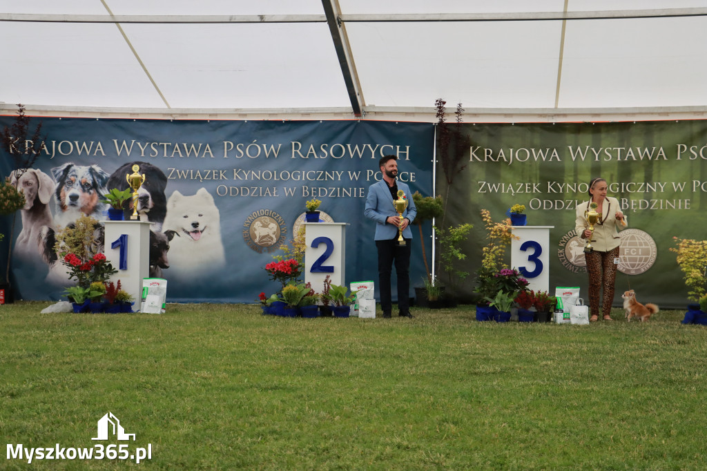 Fotorelacja - Wystawa Psów Rasowych GNIAZDÓW 2024r. SOBOTA I