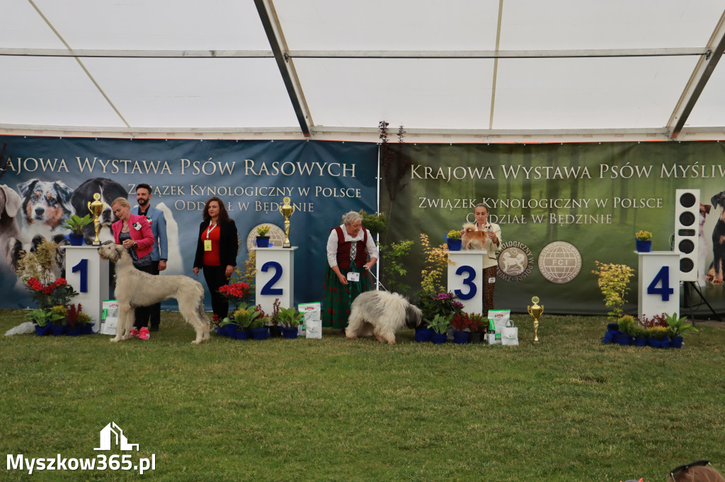 Fotorelacja - Wystawa Psów Rasowych GNIAZDÓW 2024r. SOBOTA I