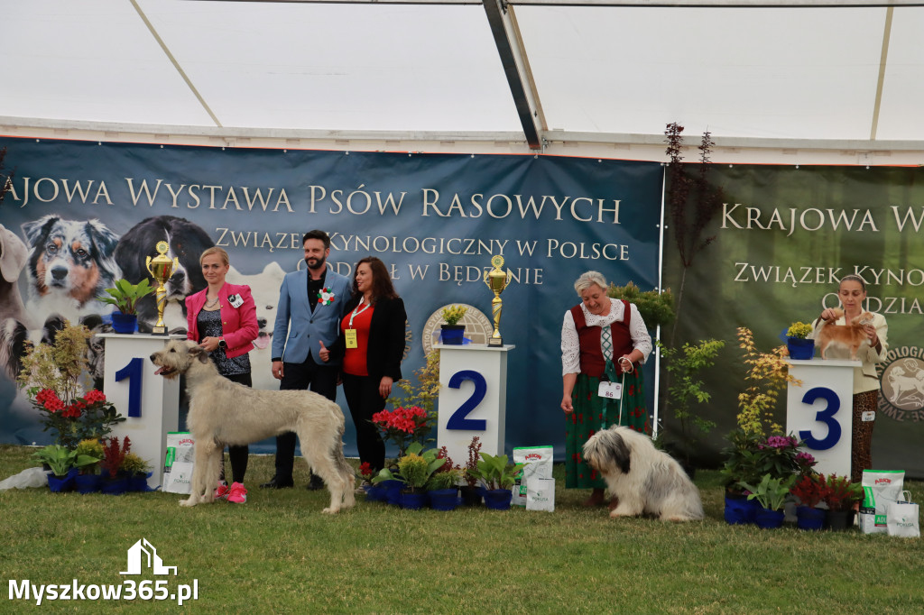 Fotorelacja - Wystawa Psów Rasowych GNIAZDÓW 2024r. SOBOTA I