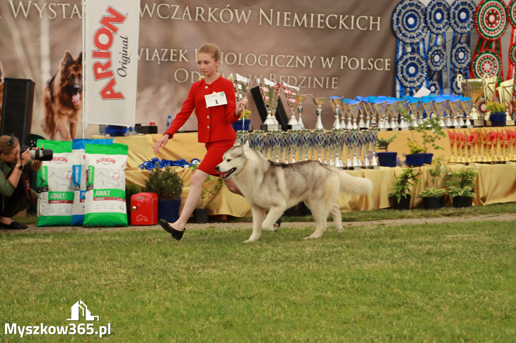 Fotorelacja - Wystawa Psów Rasowych GNIAZDÓW 2024r. SOBOTA I