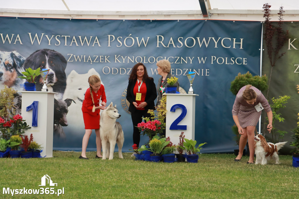 Fotorelacja - Wystawa Psów Rasowych GNIAZDÓW 2024r. SOBOTA I