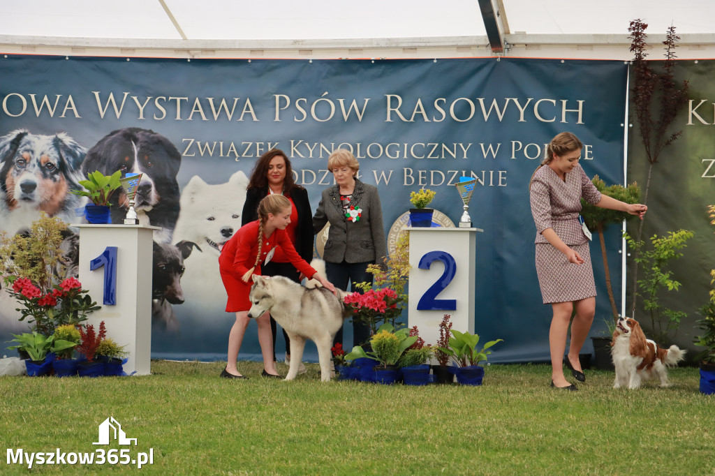 Fotorelacja - Wystawa Psów Rasowych GNIAZDÓW 2024r. SOBOTA I