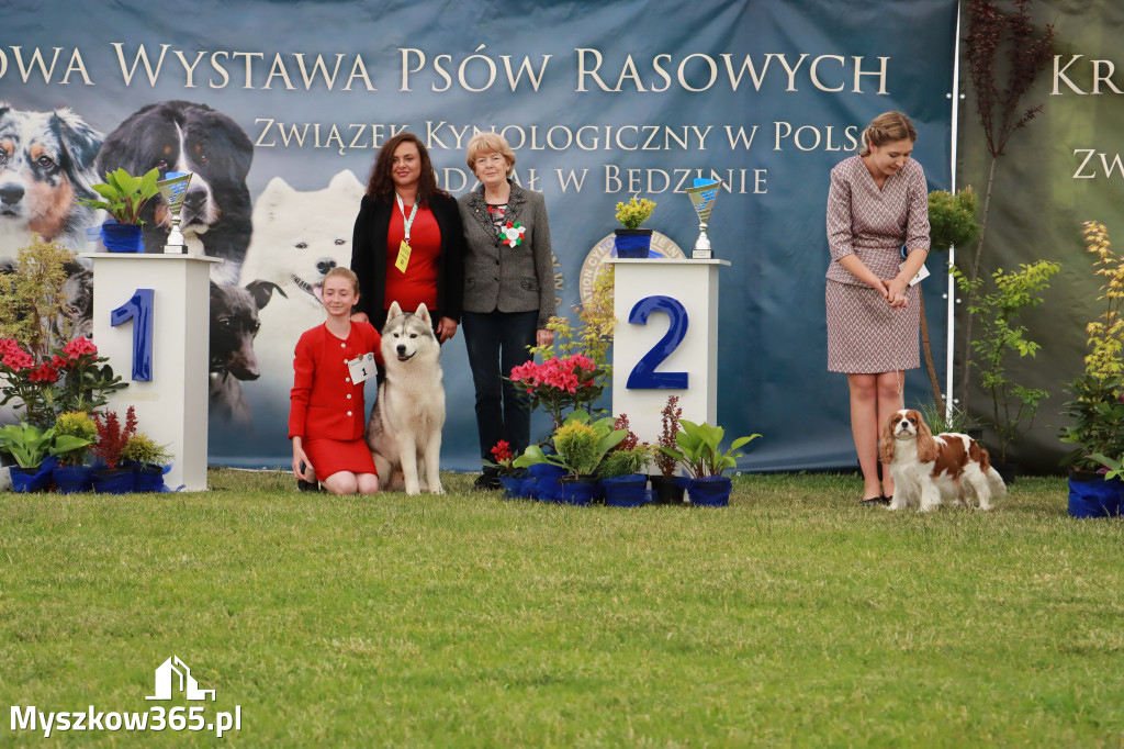 Fotorelacja - Wystawa Psów Rasowych GNIAZDÓW 2024r. SOBOTA I