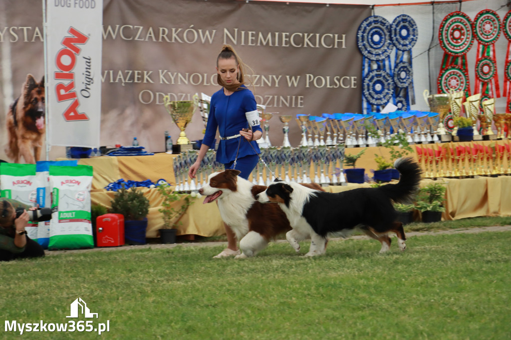 Fotorelacja - Wystawa Psów Rasowych GNIAZDÓW 2024r. SOBOTA I