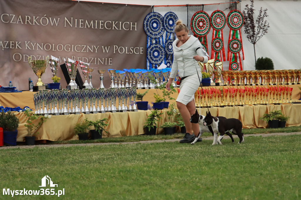 Fotorelacja - Wystawa Psów Rasowych GNIAZDÓW 2024r. SOBOTA I