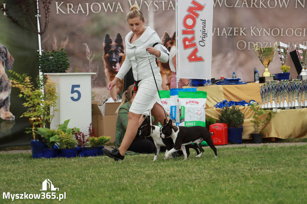 Fotorelacja - Wystawa Psów Rasowych GNIAZDÓW 2024r. SOBOTA I