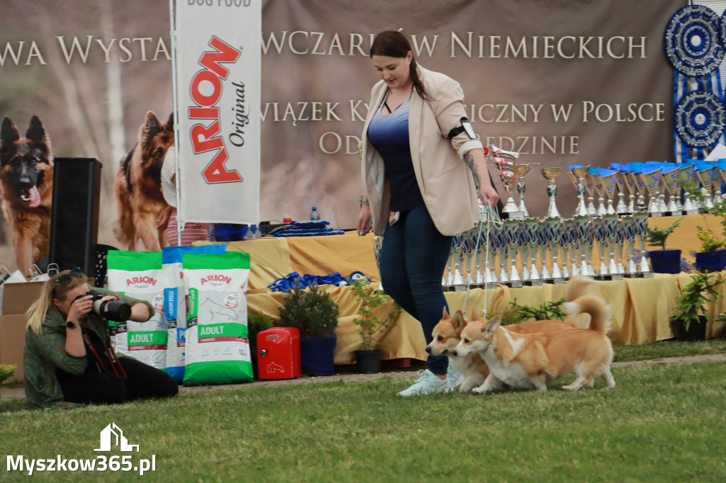 Fotorelacja - Wystawa Psów Rasowych GNIAZDÓW 2024r. SOBOTA I