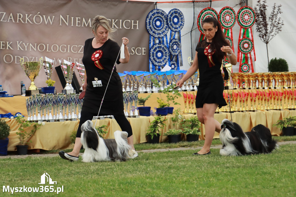 Fotorelacja - Wystawa Psów Rasowych GNIAZDÓW 2024r. SOBOTA I