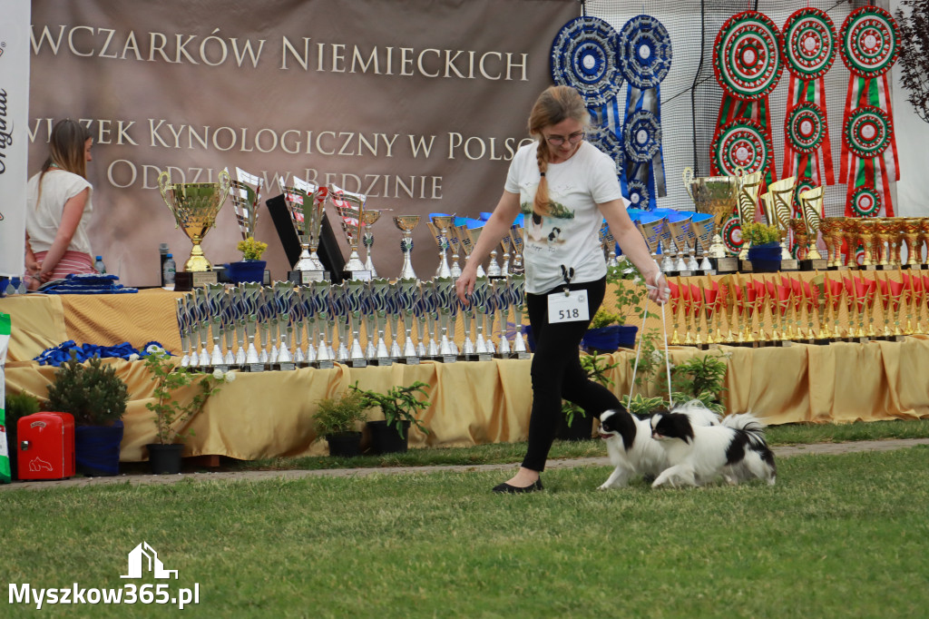 Fotorelacja - Wystawa Psów Rasowych GNIAZDÓW 2024r. SOBOTA I