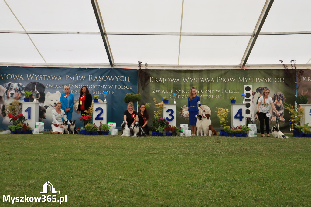 Fotorelacja - Wystawa Psów Rasowych GNIAZDÓW 2024r. SOBOTA I