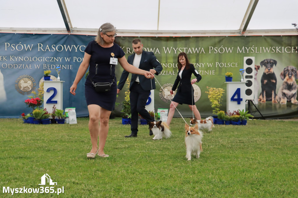 Fotorelacja - Wystawa Psów Rasowych GNIAZDÓW 2024r. SOBOTA I