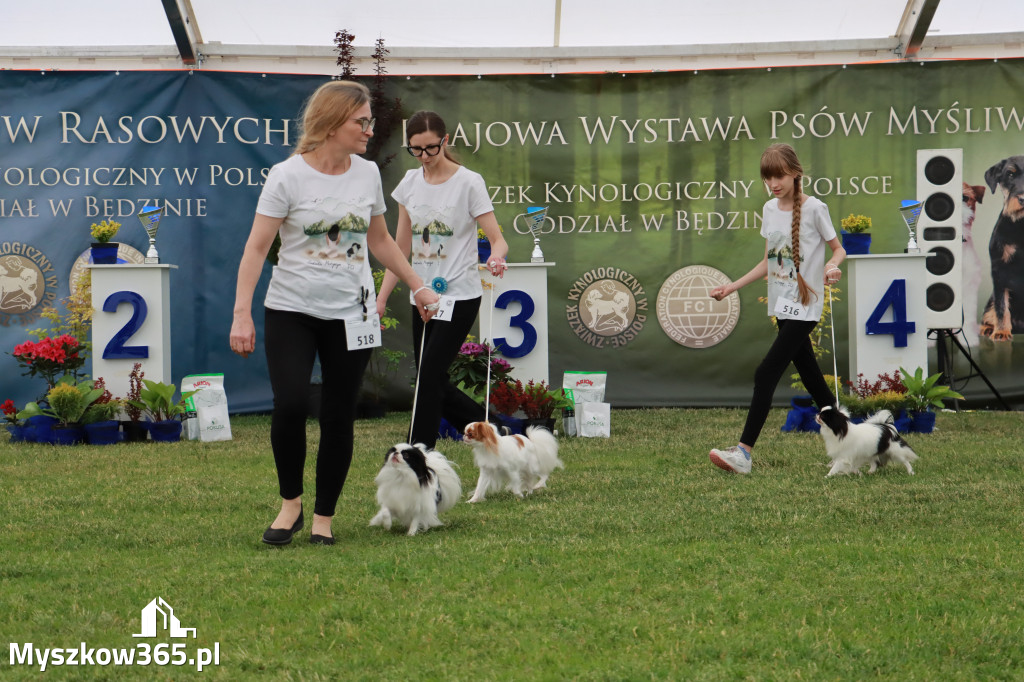 Fotorelacja - Wystawa Psów Rasowych GNIAZDÓW 2024r. SOBOTA I