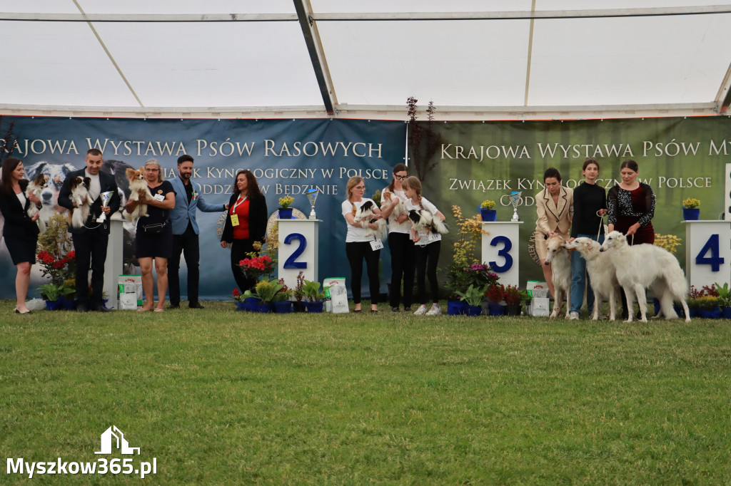 Fotorelacja - Wystawa Psów Rasowych GNIAZDÓW 2024r. SOBOTA I