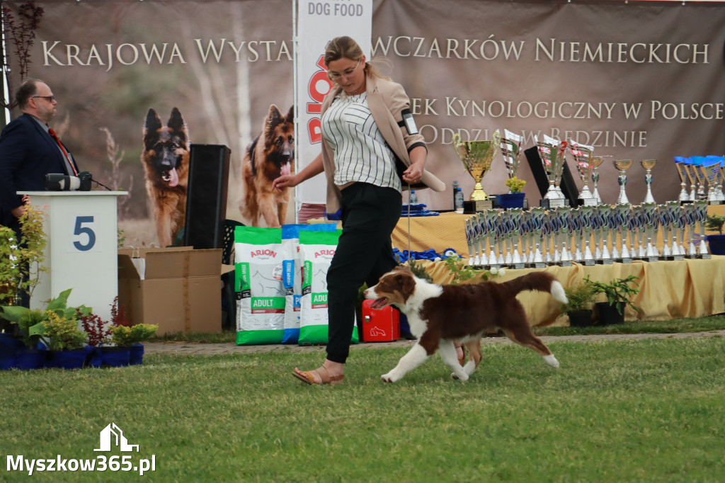 Fotorelacja - Wystawa Psów Rasowych GNIAZDÓW 2024r. SOBOTA I