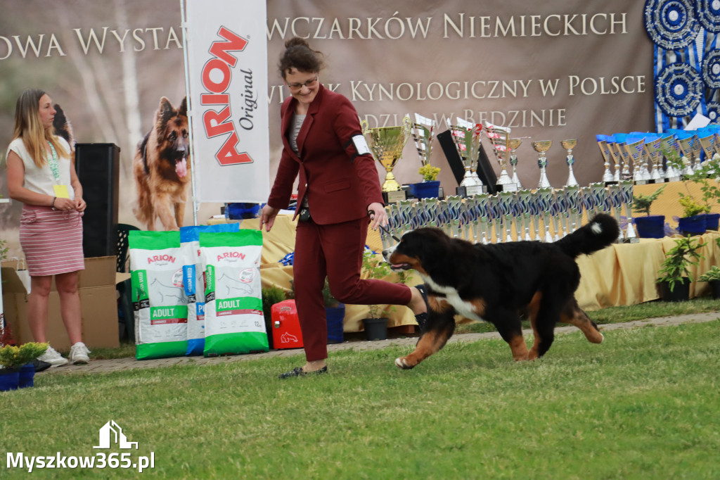 Fotorelacja - Wystawa Psów Rasowych GNIAZDÓW 2024r. SOBOTA I