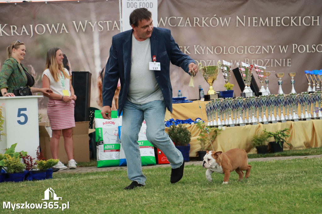 Fotorelacja - Wystawa Psów Rasowych GNIAZDÓW 2024r. SOBOTA I