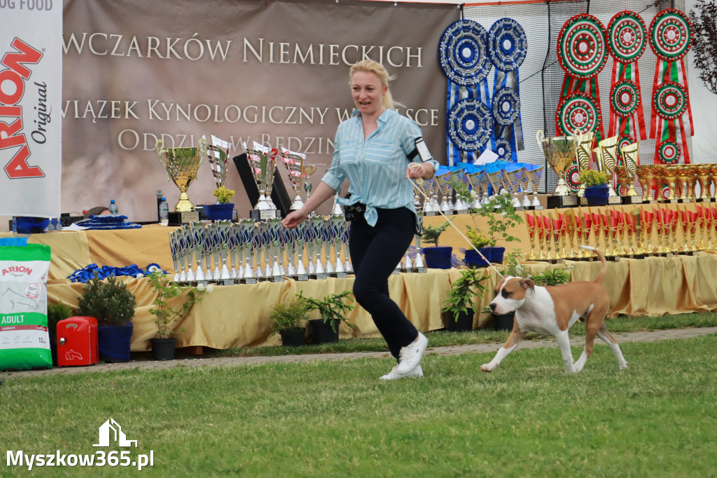 Fotorelacja - Wystawa Psów Rasowych GNIAZDÓW 2024r. SOBOTA I