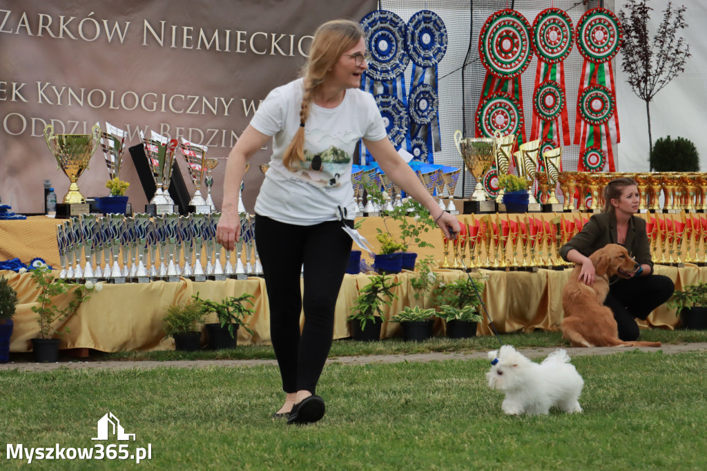 Fotorelacja - Wystawa Psów Rasowych GNIAZDÓW 2024r. SOBOTA I