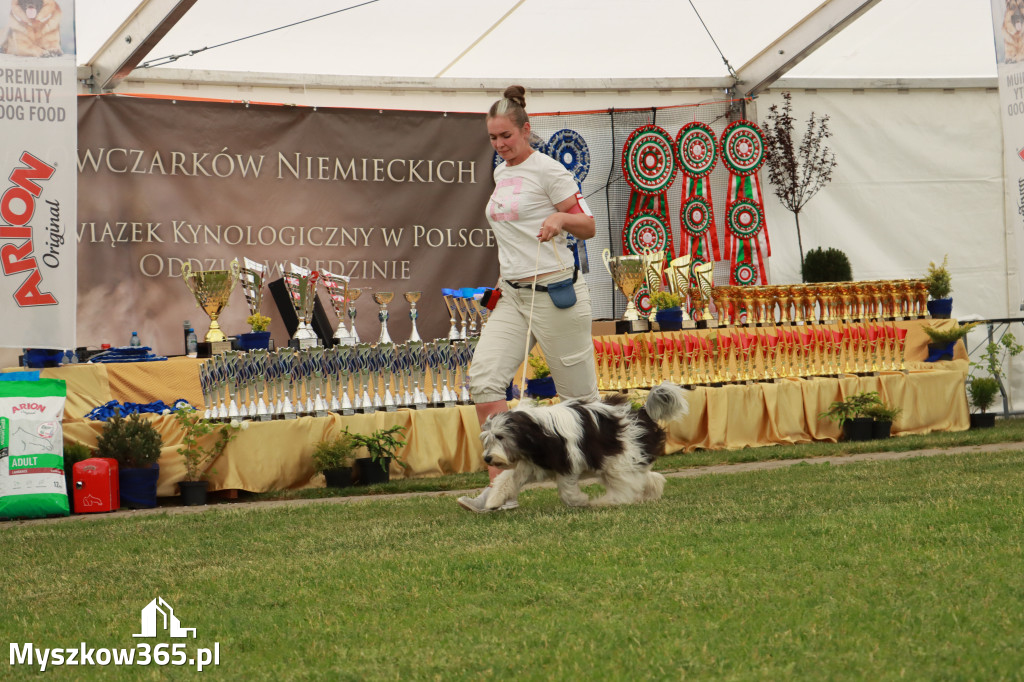 Fotorelacja - Wystawa Psów Rasowych GNIAZDÓW 2024r. SOBOTA I