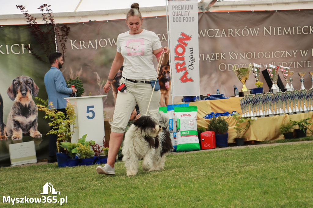 Fotorelacja - Wystawa Psów Rasowych GNIAZDÓW 2024r. SOBOTA I