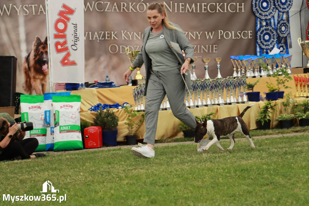 Fotorelacja - Wystawa Psów Rasowych GNIAZDÓW 2024r. SOBOTA I