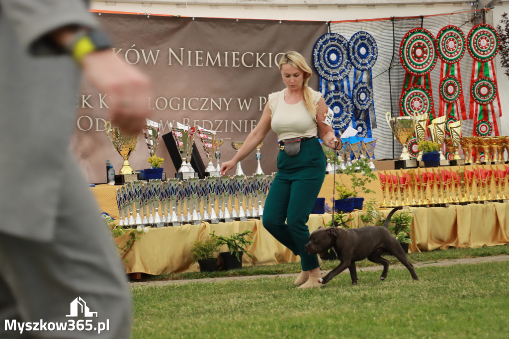 Fotorelacja - Wystawa Psów Rasowych GNIAZDÓW 2024r. SOBOTA I