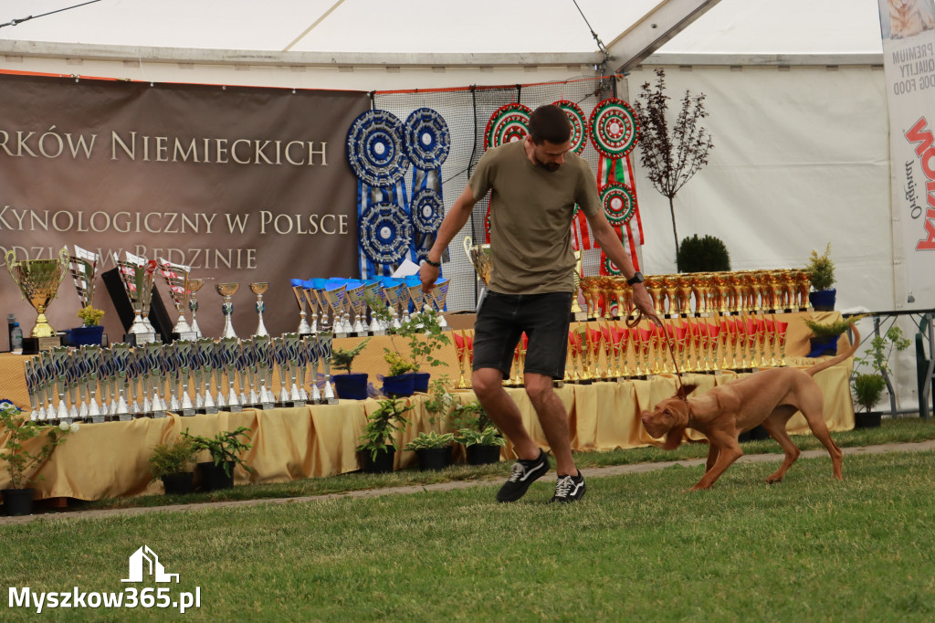 Fotorelacja - Wystawa Psów Rasowych GNIAZDÓW 2024r. SOBOTA I