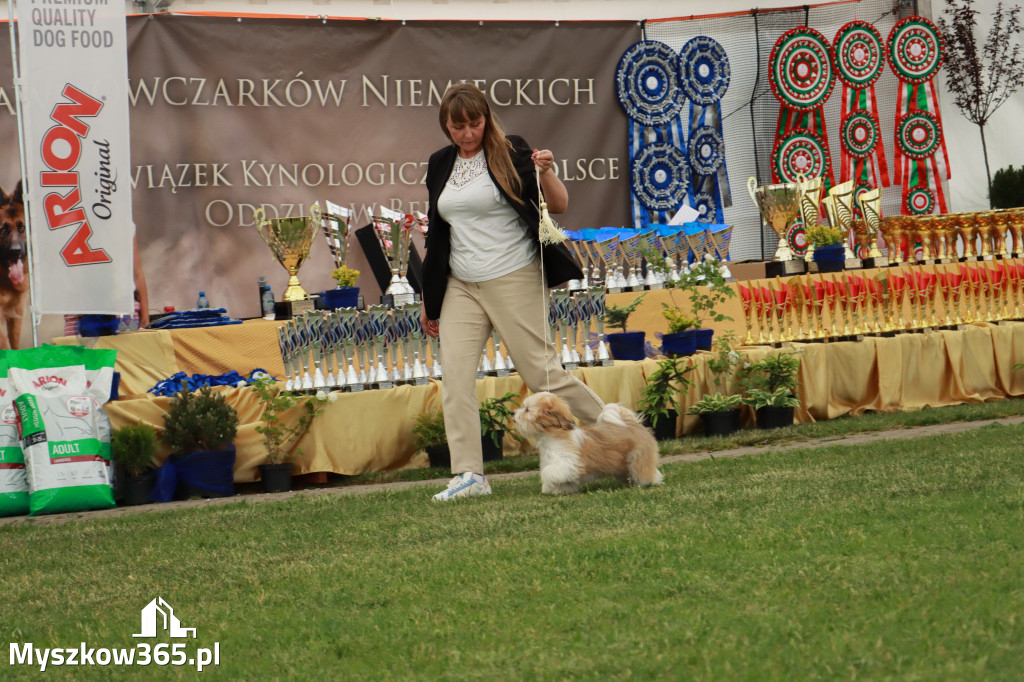 Fotorelacja - Wystawa Psów Rasowych GNIAZDÓW 2024r. SOBOTA I