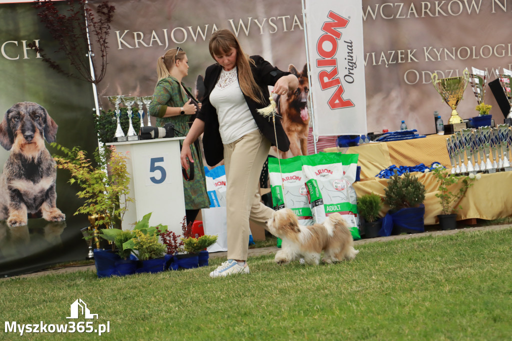 Fotorelacja - Wystawa Psów Rasowych GNIAZDÓW 2024r. SOBOTA I