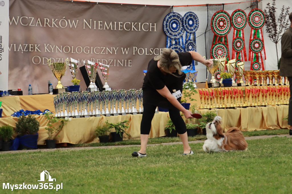 Fotorelacja - Wystawa Psów Rasowych GNIAZDÓW 2024r. SOBOTA I