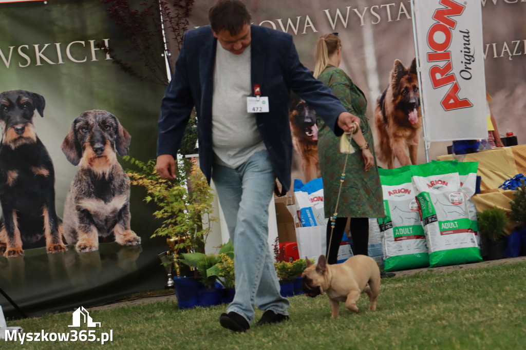 Fotorelacja - Wystawa Psów Rasowych GNIAZDÓW 2024r. SOBOTA I