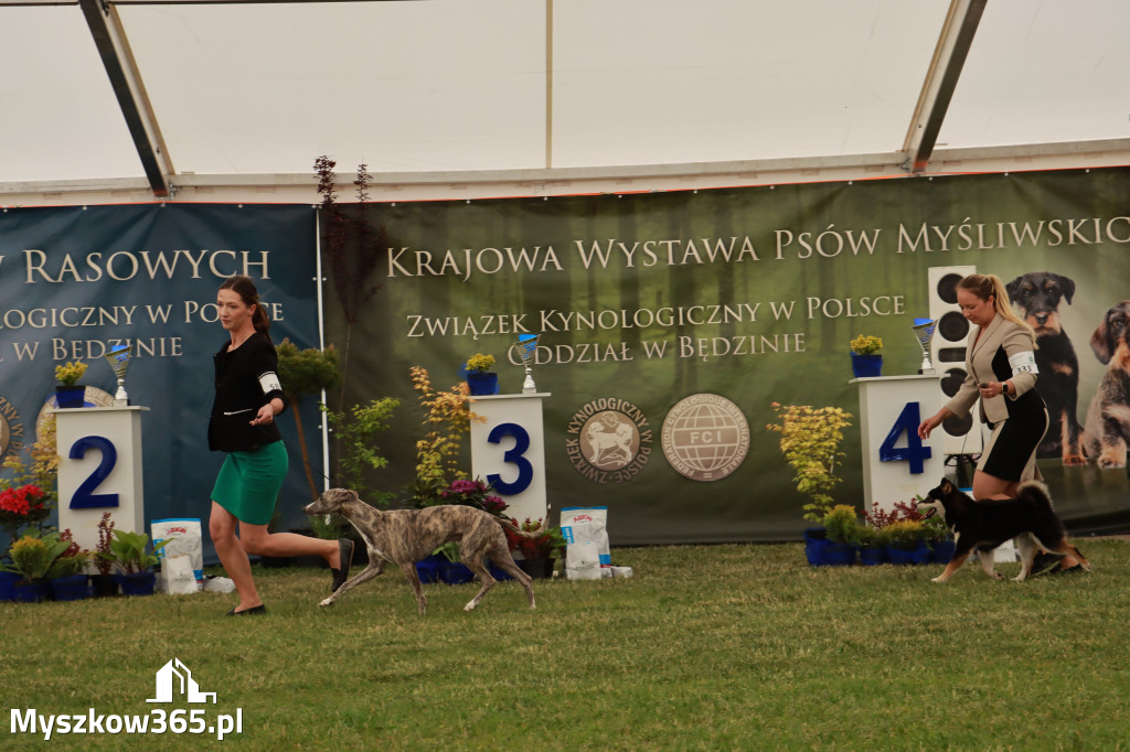 Fotorelacja - Wystawa Psów Rasowych GNIAZDÓW 2024r. SOBOTA I