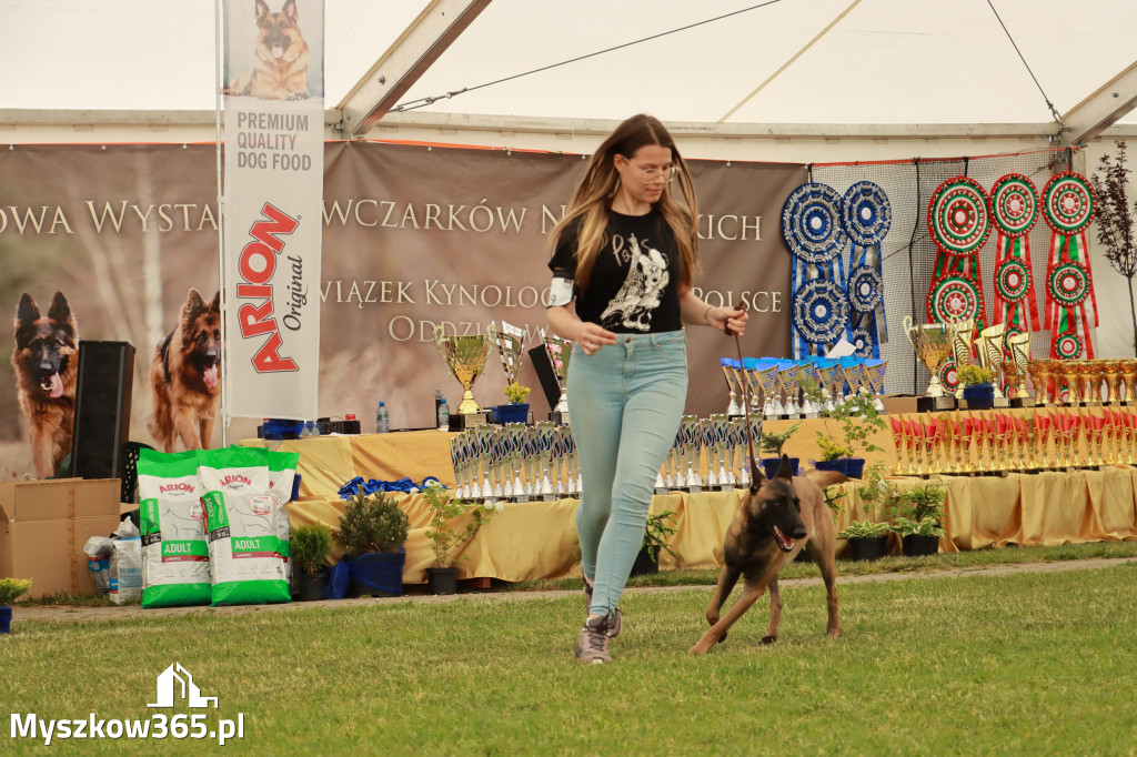 Fotorelacja - Wystawa Psów Rasowych GNIAZDÓW 2024r. SOBOTA I