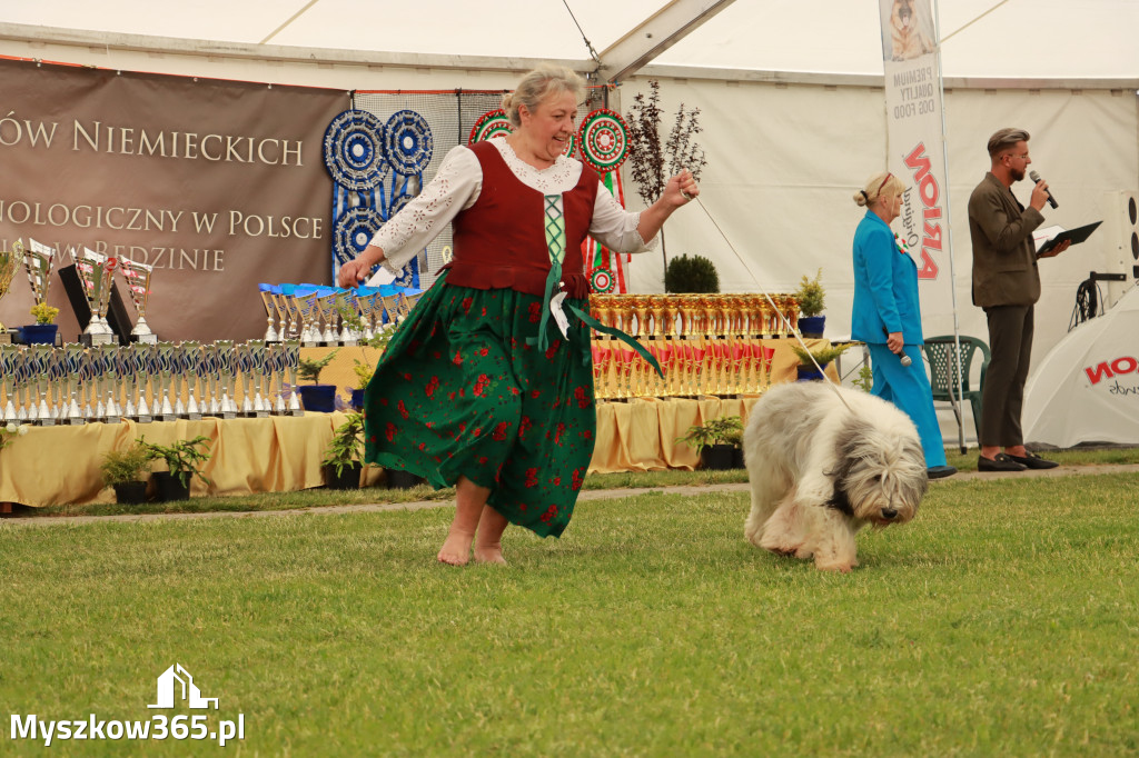 Fotorelacja - Wystawa Psów Rasowych GNIAZDÓW 2024r. SOBOTA I