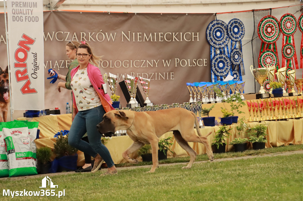 Fotorelacja - Wystawa Psów Rasowych GNIAZDÓW 2024r. SOBOTA I