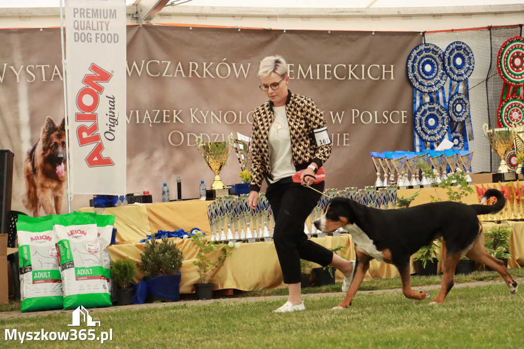 Fotorelacja - Wystawa Psów Rasowych GNIAZDÓW 2024r. SOBOTA I