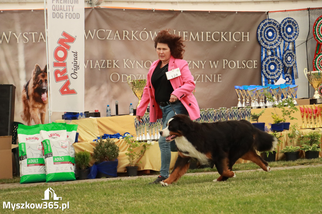 Fotorelacja - Wystawa Psów Rasowych GNIAZDÓW 2024r. SOBOTA I