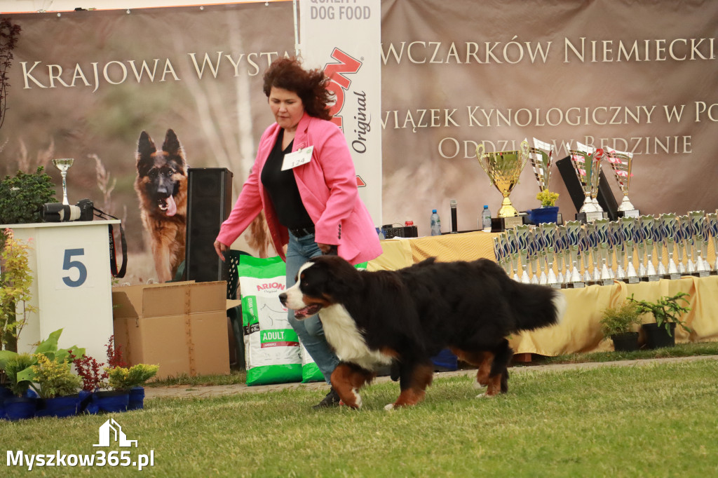 Fotorelacja - Wystawa Psów Rasowych GNIAZDÓW 2024r. SOBOTA I