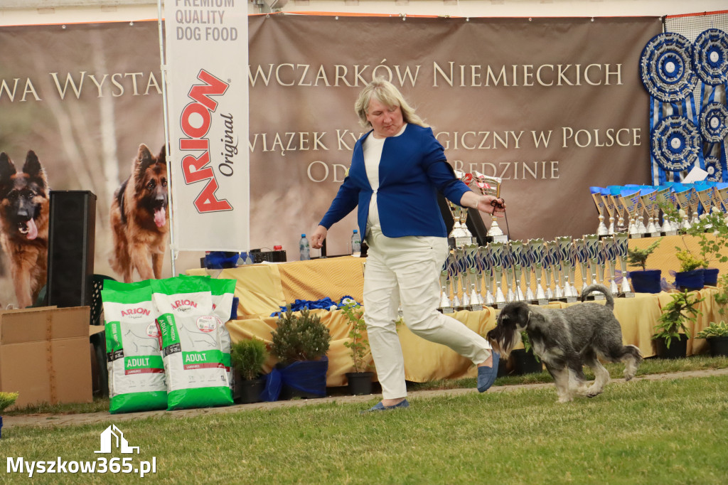 Fotorelacja - Wystawa Psów Rasowych GNIAZDÓW 2024r. SOBOTA I