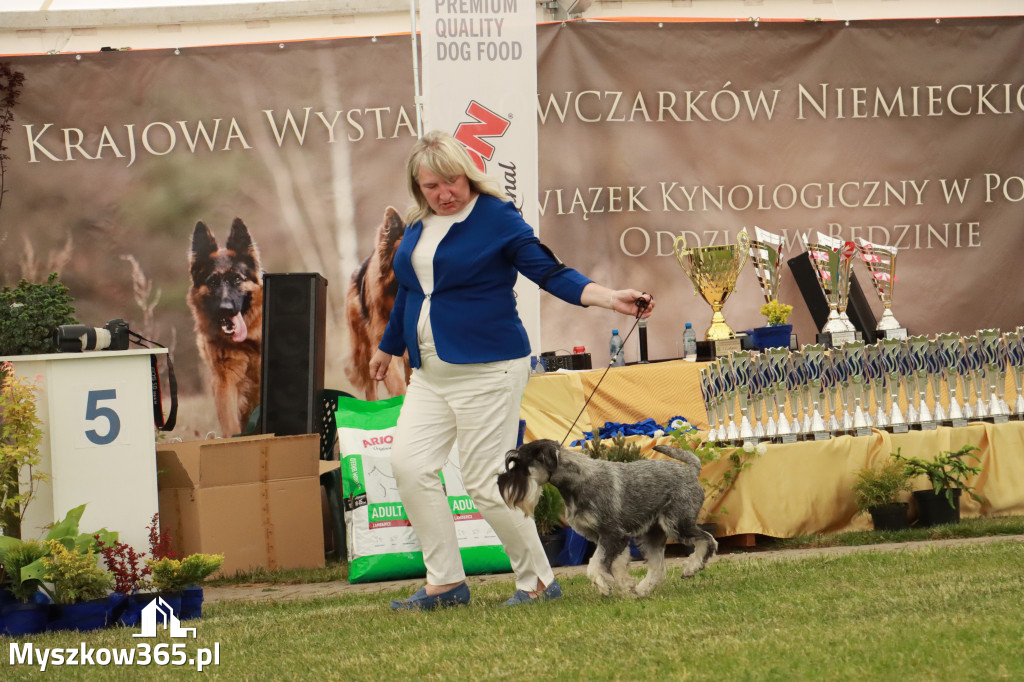 Fotorelacja - Wystawa Psów Rasowych GNIAZDÓW 2024r. SOBOTA I