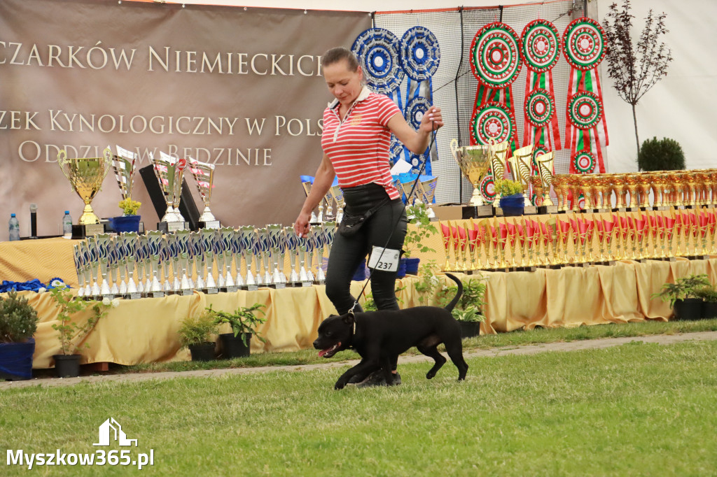 Fotorelacja - Wystawa Psów Rasowych GNIAZDÓW 2024r. SOBOTA I