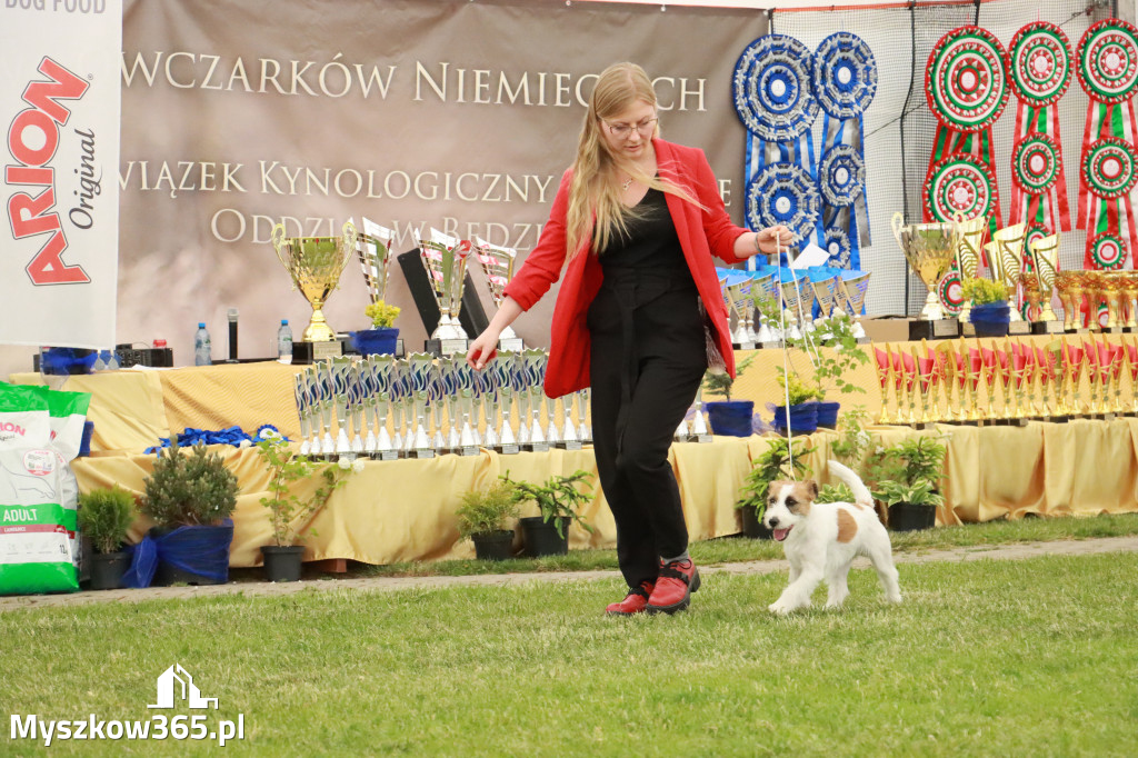 Fotorelacja - Wystawa Psów Rasowych GNIAZDÓW 2024r. SOBOTA I