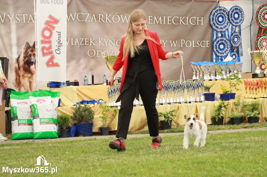 Fotorelacja - Wystawa Psów Rasowych GNIAZDÓW 2024r. SOBOTA I