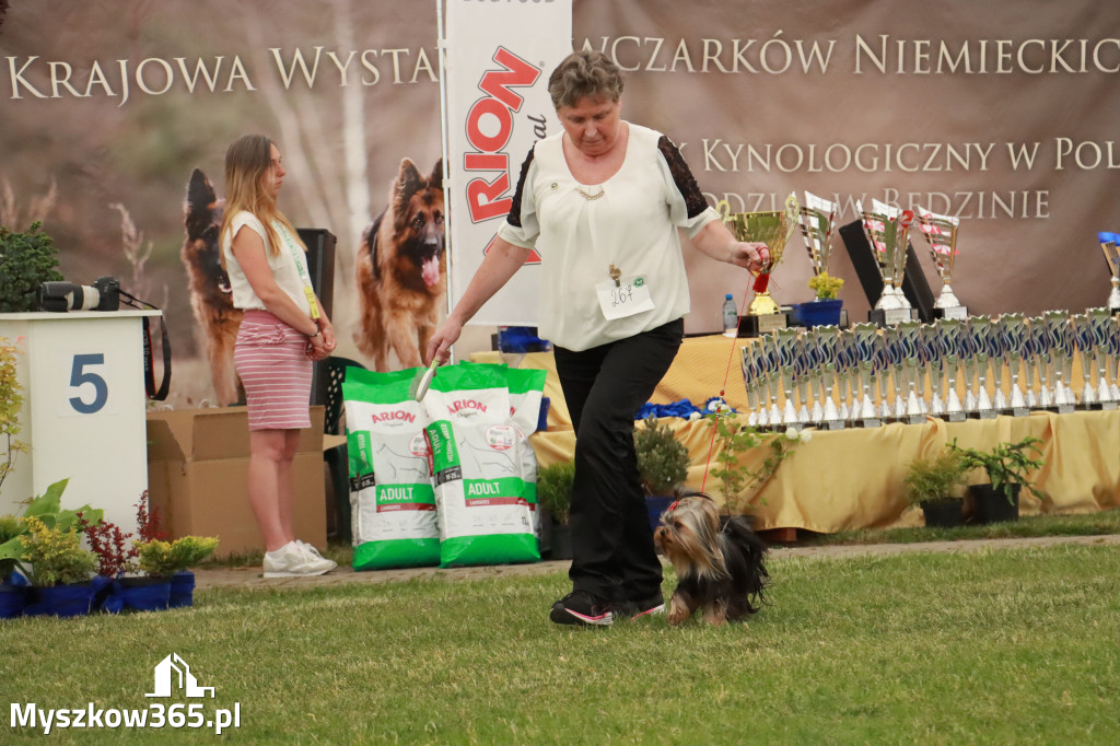 Fotorelacja - Wystawa Psów Rasowych GNIAZDÓW 2024r. SOBOTA I