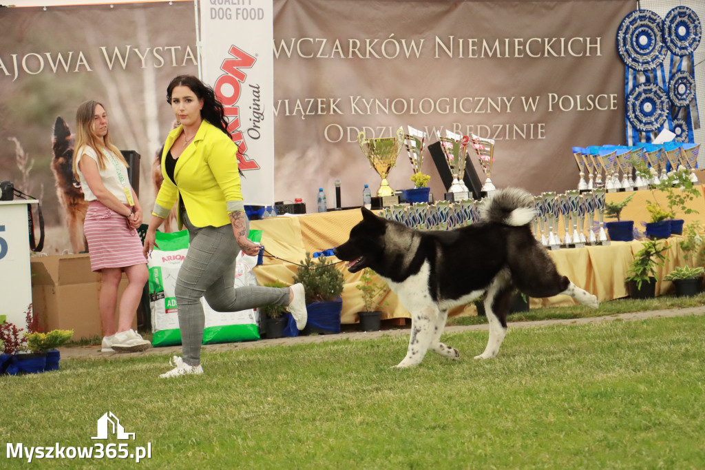 Fotorelacja - Wystawa Psów Rasowych GNIAZDÓW 2024r. SOBOTA I