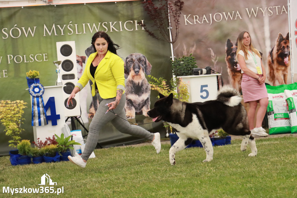 Fotorelacja - Wystawa Psów Rasowych GNIAZDÓW 2024r. SOBOTA I