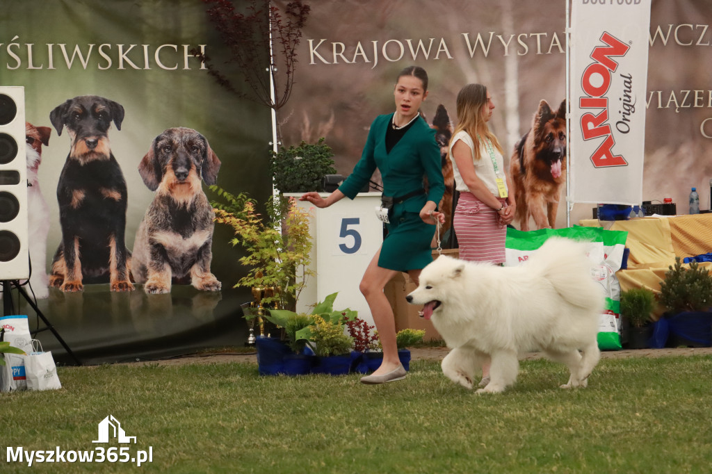 Fotorelacja - Wystawa Psów Rasowych GNIAZDÓW 2024r. SOBOTA I