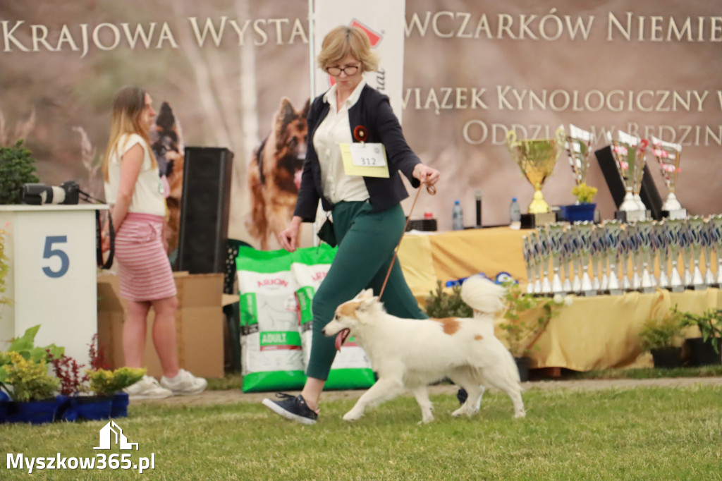 Fotorelacja - Wystawa Psów Rasowych GNIAZDÓW 2024r. SOBOTA I